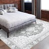 Distressed Vintage Boho Area Rug Large Soft Washable Low Pile Carpet, Non-Slip Foldable Rug for Living Room, Bedroom, Dining Room Office - 4 of 4