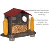 JCS Wildlife Squirrel Snack Station (Small & Large) - 4 of 4