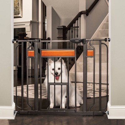 Carlson Dogs Walk Through Gate with Wood Accents - Black - Extra Tall