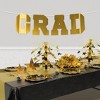 Beistle Gold Foil Grad Streamer, 12¼" x 3' 6" Gold - 4 of 4