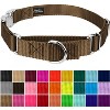 Country Brook Petz Heavyduty Nylon Martingale with Premium Buckle - 3 of 4