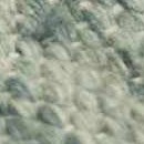 cream, sage, darkgreen