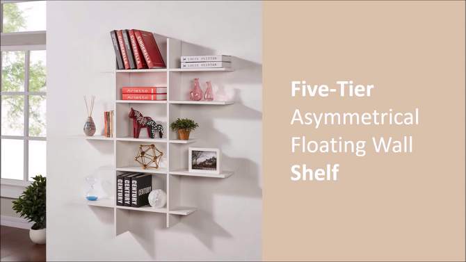 51" x 45" Five Tier Asymmetric Shelf - Danya B., 2 of 6, play video