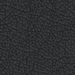 san jose earthquakes