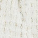 Birch