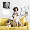 2026 Square Wall Calendar, Moggies, 16-Month Humor Theme with 180 Reminder Stickers (12x12 In) - 2 of 4