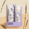 The Honest Company Calm Shampoo + Body Wash and Lotion Duo - Lavender - 18.5 fl oz - image 4 of 4