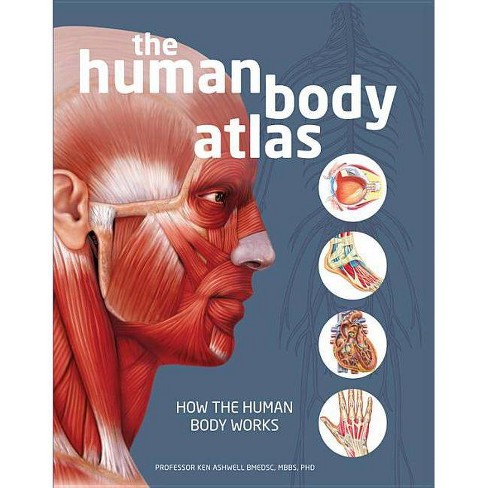 The Human Body Atlas - By National Geographic (hardcover) : Target