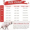 Heart Pattern Sphynx Hairless Cats Shirt, Breathable Cat Wear Cute Sweater Adorable Hairless Cat's Clothes Vest, Kitten T-Shirts with Perlin Sleeves - 2 of 4