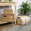 Northlight Set of 3 Camel Beige Woven Water Hyacinth Lidded Square Storage Baskets 15.5" - 2 of 4