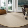 Montauk MTK515 Hand Woven Area Rug  - Safavieh - 2 of 3