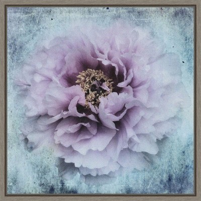 Amanti Art The season I love by Stefan Eisele Canvas Wall Art Print Framed 22 x 22-in.