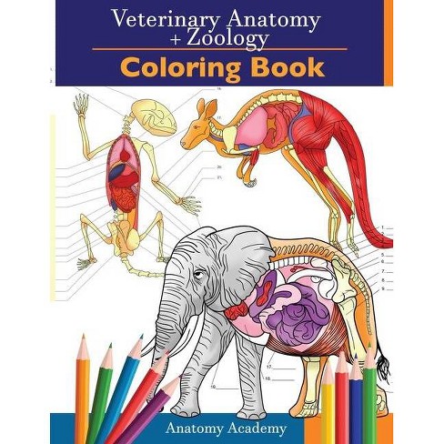 Veterinary & Zoology Coloring Book - By Anatomy Academy (paperback) : Target