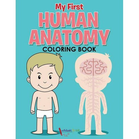 Download My First Human Anatomy Coloring Book By Activibooks For Kids Paperback Target