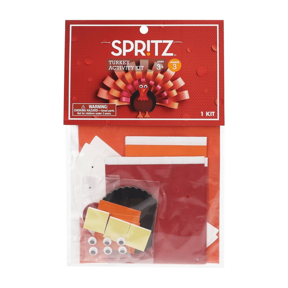 3ct Thanksgiving Turkey Loop Activity Set - Spritz