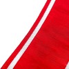 3" Dupioni Double-Sided Ribbon Red & White - National Tree Company - 3 of 4
