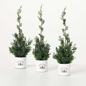 Artificial Potted Cypress Evergreen Trio Multicolor 12"H  Set of 3 - 1 of 4