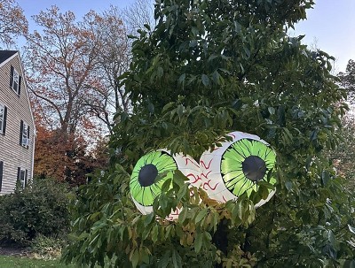 Guest review image 1 of 1, zoom in