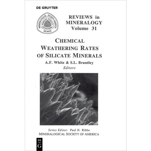 Chemical Weathering Rates of Silicate Minerals - (Reviews in Mineralogy & Geochemistry) by  Arthur F White & Susan L Brantley (Paperback) - image 1 of 1