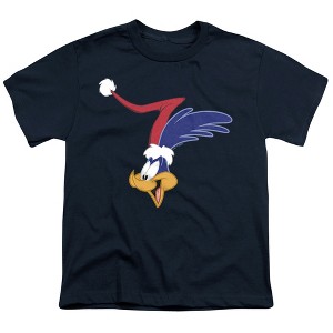 Boys' Looney Tunes Road Runner Santa Hat T-Shirt - 1 of 4