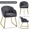 Yaheetech Velvet Armchair Accent Chair with Metal Legs for Living Room/Bedroom - 3 of 4