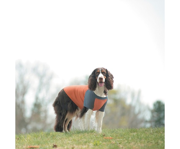 Insect Shield Premium Dog Tee - Carrot - 8/12"