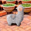 Design Toscano Andes the Little Alpaca Garden Statue - 2 of 4