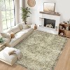 Washable Area Rugs, Non Slip Non Shedding Distressed Print Carpet, Stain Resistant Soft Floor Cover for Living Room Bedroom Dining Room Office Nursery - 2 of 4