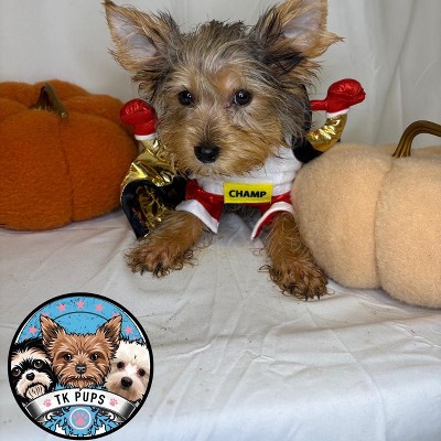 Guest review image 1 of 2, zoom in