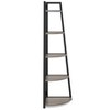 Lirago 5-Tier Corner Ladder Shelf-Compact Storage for Living Room Office or Balcony Gray - 3 of 4
