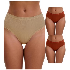 INSPIRE CHIC Women's High Waisted Butt Lifter Briefs Tummy Control Underwear, Available in Plus Size 3 Packs - 1 of 4