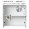 24Inch W Kitchen Wall Cabinets with 4 Acrylic Glass Doors for Kitchen, Laundry,or Bathroom - 4 of 4