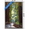 Trends International Lantern Press - Redwoods Pathway in Trees Framed Wall Poster Prints - 3 of 4