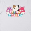 Squishmallows Feelin' Mallow Rainbow Block Text Crew Neck Short Sleeve Women's White T-shirt - 2 of 3