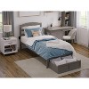 AFI Furnishings Warren Platform Bed TXL with Foot Drawer AG - 3 of 4