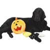 Midlee Pumpkin Find a Toy Halloween Dog Toy - 4 of 4