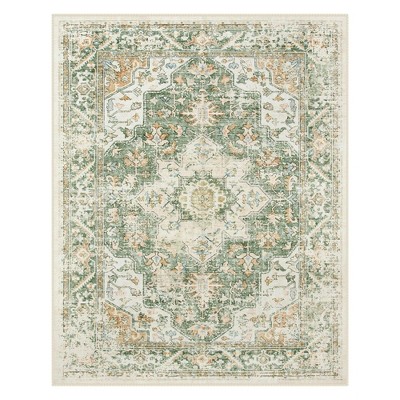 Lahome  Large Floral Border Contrast Short Pile Velvet Rectangular Indoor Area Rug