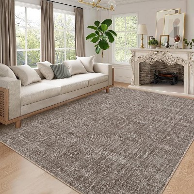 Solid Textured Area Rug, Machine Washable Modern Accent Carpet, Soft Low-Pile Indoor Floor Mat for Bedroom, Kitchen, Office