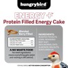 Hungrybird Energy+ No-Melt, High-Protein Suet Cake with Mealworm Filling for Outside Wild Bird Feeders - 2 of 4