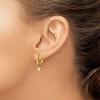 Chisel Stainless Steel Polished Yellow IP-plated CZ Dangle Hoop Earrings - 3 of 4