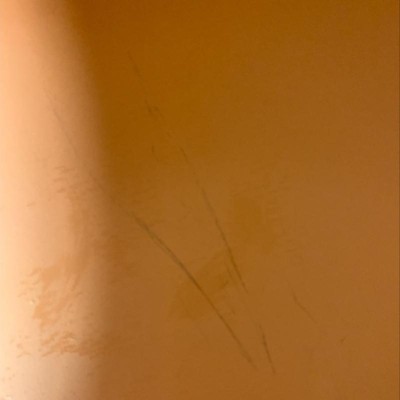 Guest review image 1 of 1, zoom in