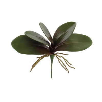 Floral Home 11" Green Phalaenopsis 5 Clusters Leaf - 12-Piece