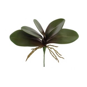 Floral Home 11" Green Phalaenopsis 5 Clusters Leaf - 12-Piece - 1 of 2