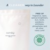 Esembly Unscented Washing HE Deep Cleaning Laundry Detergent Powder Refill Bag - 3 of 4