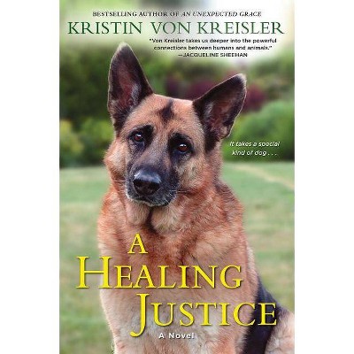 Healing Justice -  by Kristin Von Kreisler (Paperback)