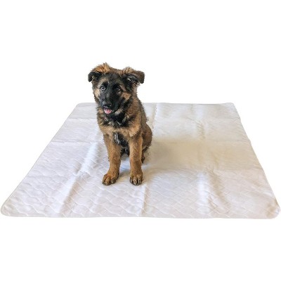 Midlee 47" x 47" Dog Pee Pad- Pack of 2- Washable & Reusable Large Puppy Potty Training Pad