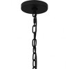 Quoizel Lighting Damien 4 - Light Pendant in  Earth Black - 3 of 4