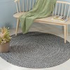 Braided BRA260  Machine Washable UV Resistant Stain Resistant Non-Shedding Hand Woven Indoor/Outdoor Rugs - Safavieh - 2 of 4