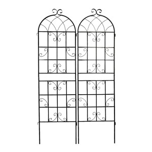 Chery Life 4 Pack Metal Garden Trellis, 71" x 19.7" Rustproof Trellis for Climbing Plants Outdoor Flower Support, Black - 1 of 4