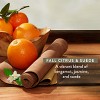 Native Limited Edition Fall Citrus & Suede Conditioner - 16.5 fl oz - 2 of 4